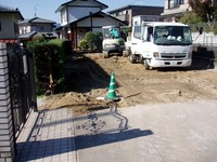 PB260302.JPG